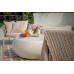 IKARIA - Cream White